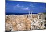 Al Athrun, Libya-Vivienne Sharp-Mounted Photographic Print