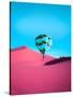 Stretched Canvas