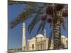 Al Fateh Grand Mosque, Manama, Bahrain, Middle East-Angelo Cavalli-Mounted Photographic Print