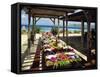 Al Fresco Dining, Bermuda, Atlantic Ocean, Central America-Harding Robert-Framed Stretched Canvas