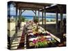 Al Fresco Dining, Bermuda, Atlantic Ocean, Central America-Harding Robert-Stretched Canvas