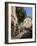 Al Fresco Restaurants, Place Forum Des Cardeurs, Aix-En-Provence, Bouches-Du-Rhone, Provence, Franc-Peter Richardson-Framed Photographic Print