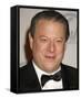 Al Gore-null-Framed Stretched Canvas