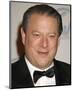 Al Gore-null-Mounted Photo