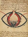 Anatomy of the Eye, from a Book on Eye Diseases-Al-Mutadibi-Giclee Print