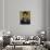 Al Pacino IV-David Studwell-Mounted Premium Giclee Print displayed on a wall