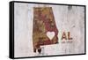 AL Rusty Cementwall Heart-Red Atlas Designs-Framed Stretched Canvas