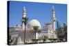 Al Shamian Mosque, Kuwait City, Kuwait, Middle East-Jane Sweeney-Stretched Canvas