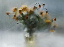fading bouquet-Ala Pneuma-Photographic Print