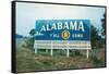 Alabama Billboard-null-Framed Stretched Canvas