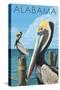 Alabama - Brown Pelicans-Lantern Press-Stretched Canvas