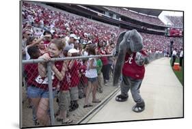 Alabama Football Scrimmage-Carol Highsmith-Mounted Art Print