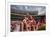 Alabama Football Scrimmage-Carol Highsmith-Framed Art Print