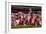 Alabama Football Scrimmage-Carol Highsmith-Framed Art Print