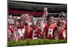 Alabama Football Scrimmage-Carol Highsmith-Mounted Art Print