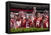 Alabama Football Scrimmage-Carol Highsmith-Framed Stretched Canvas