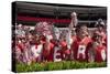 Alabama Football Scrimmage-Carol Highsmith-Stretched Canvas