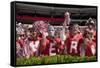 Alabama Football Scrimmage-Carol Highsmith-Framed Stretched Canvas