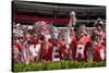 Alabama Football Scrimmage-Carol Highsmith-Stretched Canvas