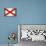 Alabama Grunge Flag-TINTIN75-Stretched Canvas displayed on a wall