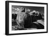 Alabama Hills Rock Pile, Lone Pine, California-Steve Gadomski-Framed Photographic Print