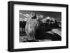 Alabama Hills Rock Pile, Lone Pine, California-Steve Gadomski-Framed Photographic Print