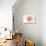 Alabama - Scallop Shell - Coral - Coastal Icon-Lantern Press-Stretched Canvas displayed on a wall