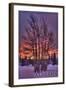 Alabama - Trees and Sunset-Lantern Press-Framed Art Print