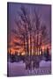 Alabama - Trees and Sunset-Lantern Press-Stretched Canvas