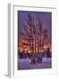 Alabama - Trees and Sunset-Lantern Press-Framed Art Print