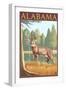 Alabama White Tailed Deer-Lantern Press-Framed Art Print