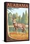 Alabama White Tailed Deer-Lantern Press-Framed Stretched Canvas