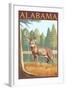 Alabama White Tailed Deer-Lantern Press-Framed Art Print