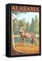 Alabama White Tailed Deer-Lantern Press-Framed Stretched Canvas