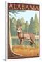 Alabama White Tailed Deer-Lantern Press-Framed Art Print