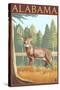 Alabama White Tailed Deer-Lantern Press-Stretched Canvas