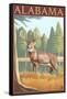 Alabama White Tailed Deer-Lantern Press-Framed Stretched Canvas