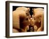 Alabaster Canopic Jars of Tutankhamun, King Tut, Egyptian Museum, New Kingdom, Cairo, Egypt-Kenneth Garrett-Framed Photographic Print