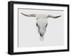 Alabaster Cow Skull-Sarah Butcher-Framed Art Print