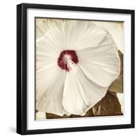 Alabaster Hibiscus-Mindy Sommers-Framed Giclee Print