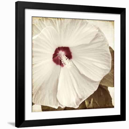 Alabaster Hibiscus-Mindy Sommers-Framed Giclee Print