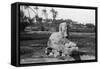 Alabaster Sphinx at Memphis, Egypt, C1920s-30s-null-Framed Stretched Canvas