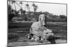 Alabaster Sphinx at Memphis, Egypt, C1920s-30s-null-Mounted Giclee Print