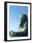 Alabaster Sphinx, Memphis, Egypt, 18th or 19th Dynasty, C14th-13th Century Bc-CM Dixon-Framed Photographic Print