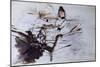 Alaide Banti-Giovanni Boldini-Mounted Giclee Print