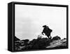 Alain Delon, Zorro, 1975-null-Framed Stretched Canvas