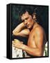 Alain Delon-null-Framed Stretched Canvas