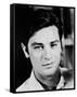 Alain Delon-null-Framed Stretched Canvas