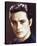 Alain Delon-null-Stretched Canvas