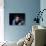 Alain Delon-null-Photographic Print displayed on a wall